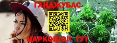 гашик Шелехов