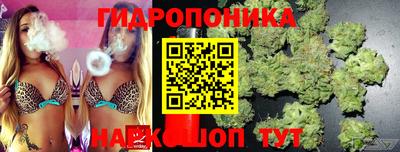 бошки Шахты