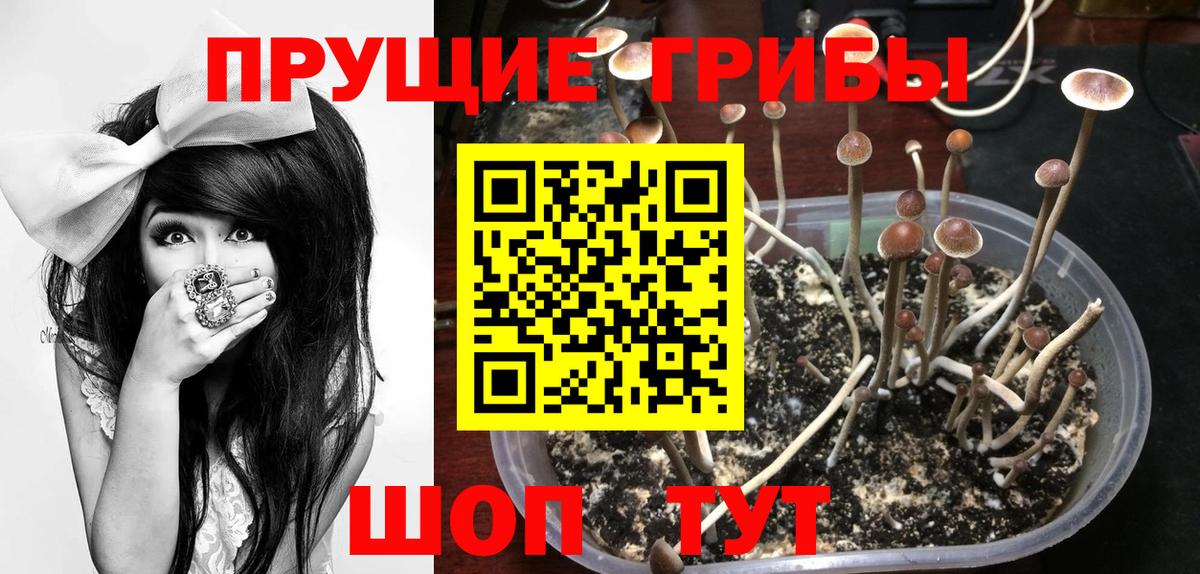 Калач-на-Дону  Галлюциногенные грибы прущие грибы  Вход с VPN 